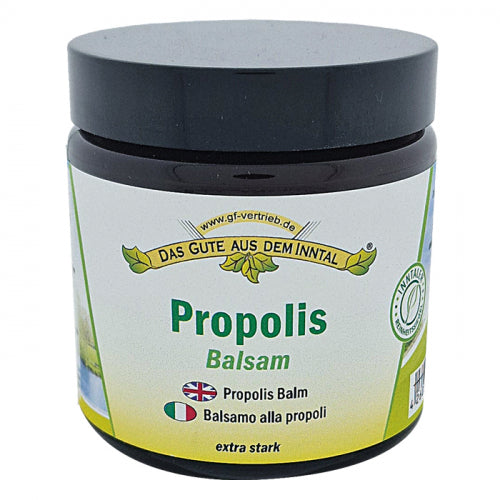 Propolis Balsam extra stark 110 ml im Glastiegel